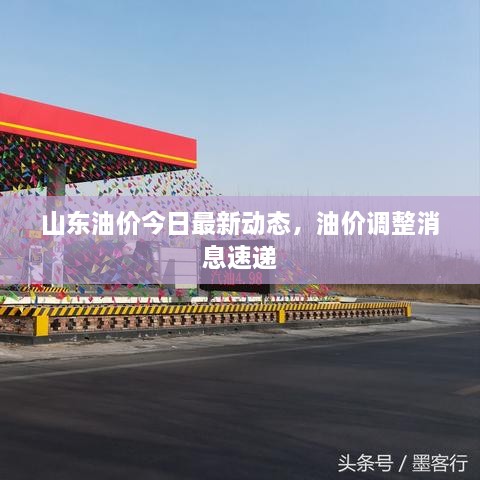 山东油价今日最新动态，油价调整消息速递