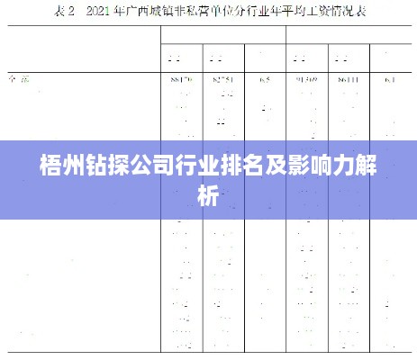 梧州钻探公司行业排名及影响力解析