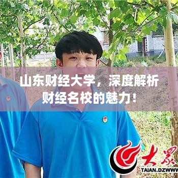 山东财经大学，深度解析财经名校的魅力！