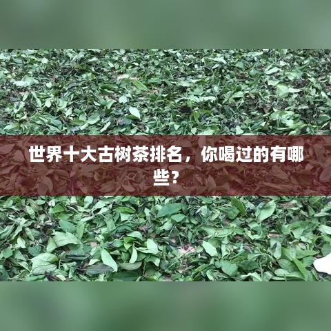 世界十大古树茶排名，你喝过的有哪些？