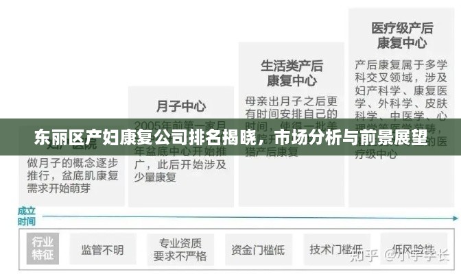 东丽区产妇康复公司排名揭晓，市场分析与前景展望