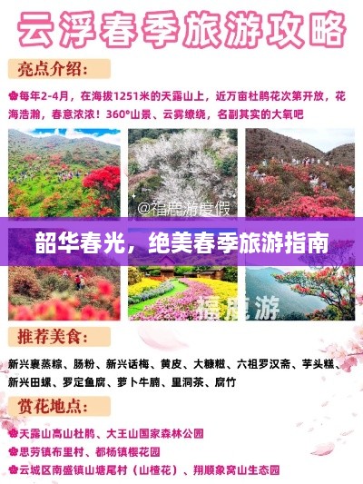 韶华春光，绝美春季旅游指南