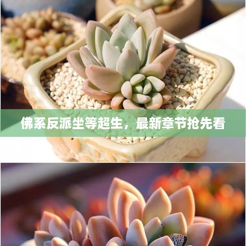 佛系反派坐等超生，最新章节抢先看