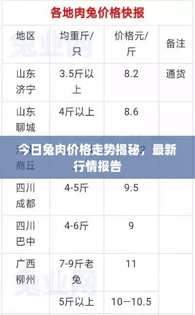 今日兔肉价格走势揭秘，最新行情报告