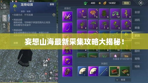 妄想山海最新采集攻略大揭秘！