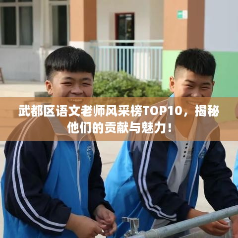 武都区语文老师风采榜TOP10，揭秘他们的贡献与魅力！