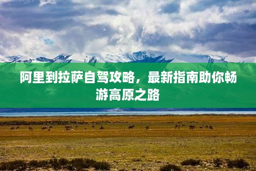 阿里到拉萨自驾攻略，最新指南助你畅游高原之路