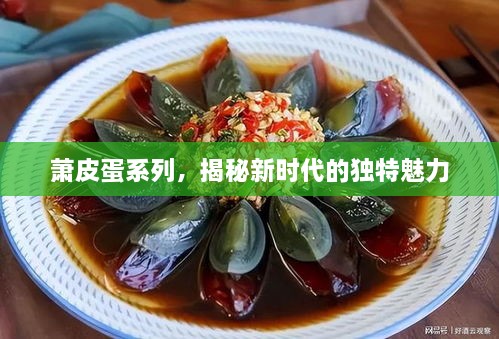 萧皮蛋系列，揭秘新时代的独特魅力