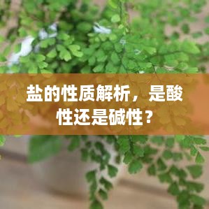 盐的性质解析，是酸性还是碱性？