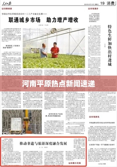 河南平原热点新闻速递