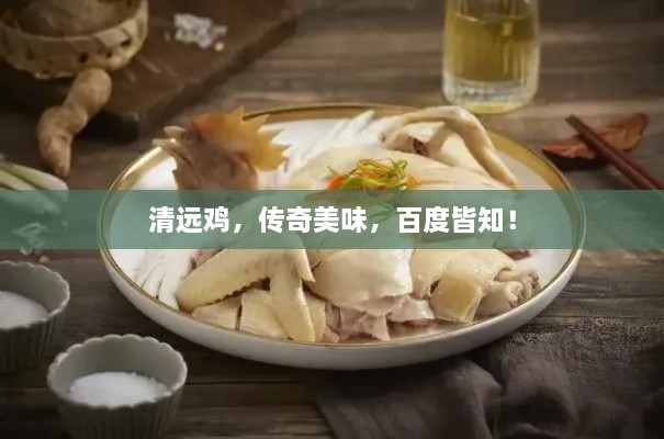 清远鸡，传奇美味，百度皆知！