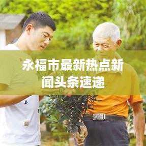永福市最新热点新闻头条速递