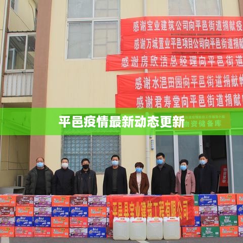 平邑疫情最新动态更新