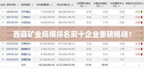 西藏矿业规模排名前十企业重磅揭晓！