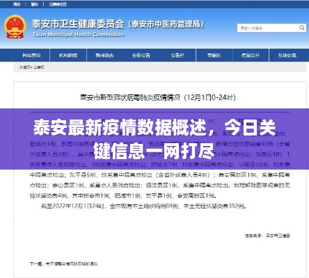 泰安最新疫情数据概述，今日关键信息一网打尽