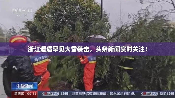 浙江遭遇罕见大雪袭击，头条新闻实时关注！
