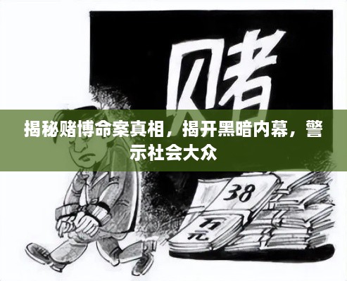 揭秘赌博命案真相，揭开黑暗内幕，警示社会大众