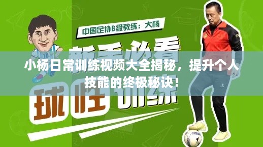 小杨日常训练视频大全揭秘，提升个人技能的终极秘诀！