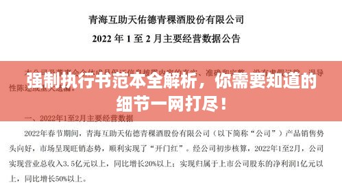 强制执行书范本全解析，你需要知道的细节一网打尽！