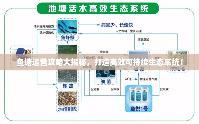鱼塘运营攻略大揭秘，打造高效可持续生态系统！