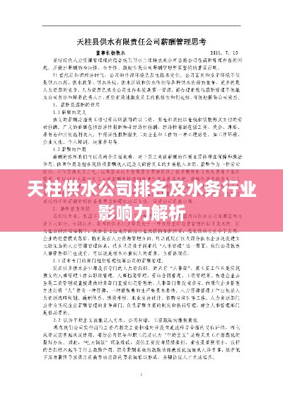 天柱供水公司排名及水务行业影响力解析